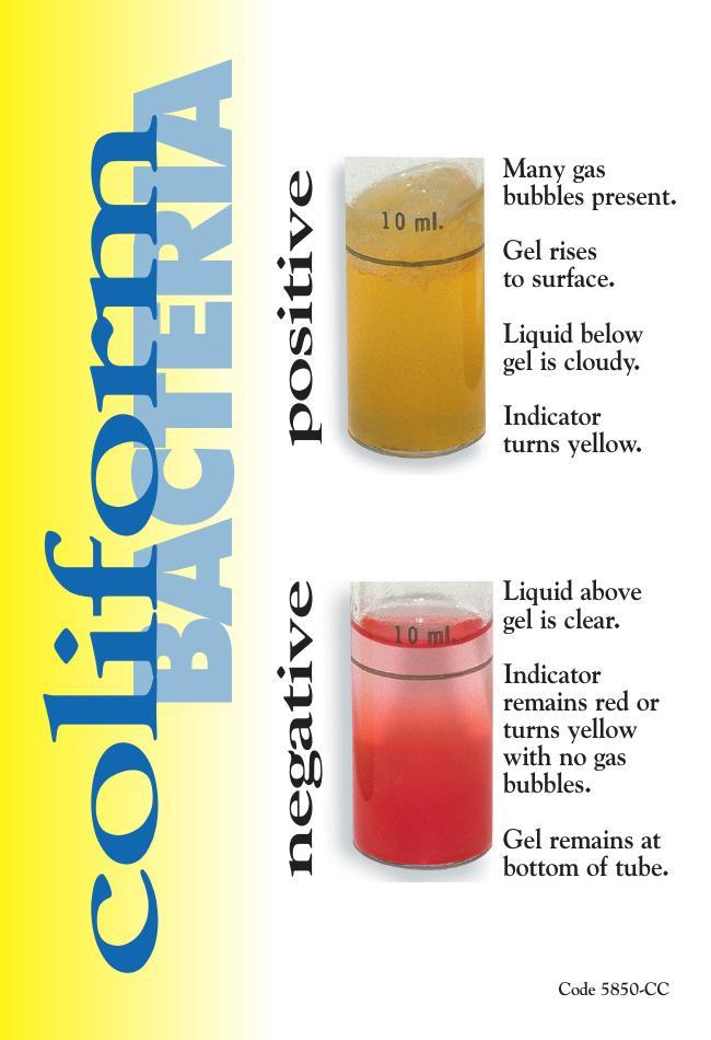 5850-CC_firstpageRECTcrop2